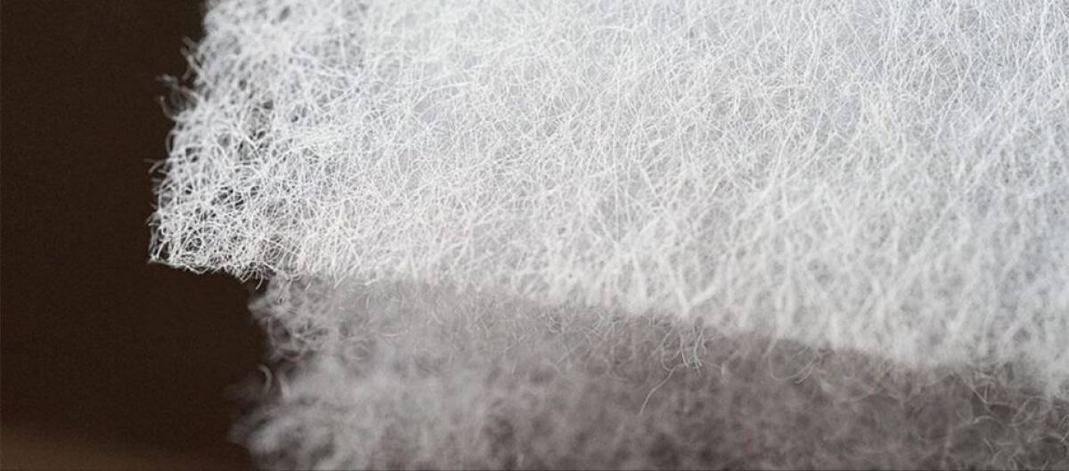 Новые возможности для медицины и легкой промышленности: итоги конференции в Казани